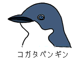 コガタペンギン属の識別図