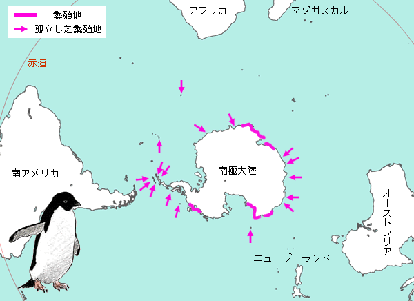 アデリーペンギン繁殖地