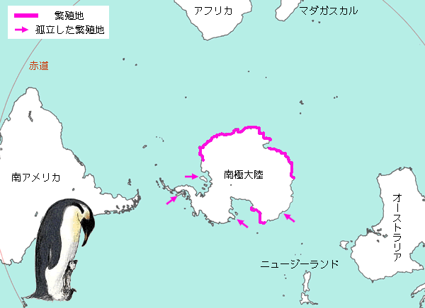 エンペラー繁殖地