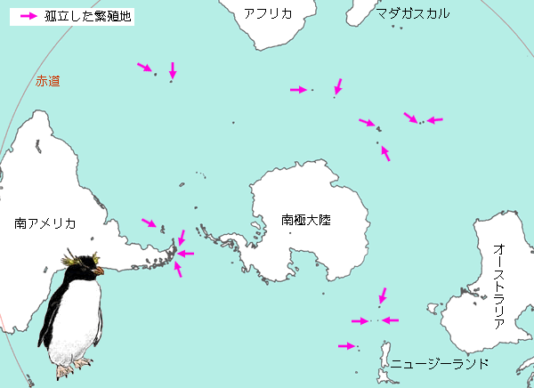 イワトビペンギンの繁殖地