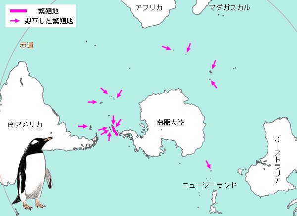 ジェンツーペンギンの繁殖地