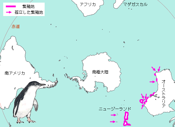 コガタペンギンの繁殖地