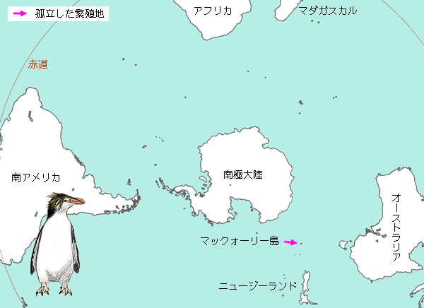 ロイヤルペンギンの繁殖地