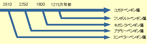 ペンギン進化分岐